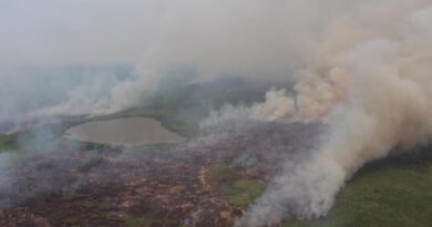 exercito e cbm monitoram incendios florestais no pantanal Vision Art NEWS