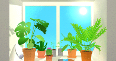 Voce sabe a diferenca entre luz solar direta e indireta para as plantas 06 Vision Art NEWS