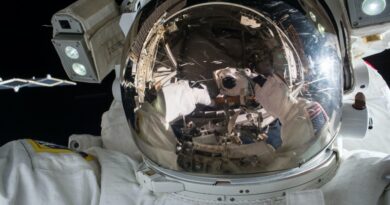 astronauta nasa Vision Art NEWS