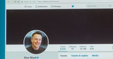 Twitter Elon Musk Vision Art NEWS