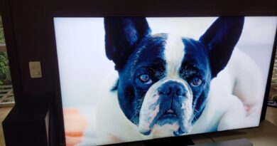 Samsung TV QN800B review capa Vision Art NEWS