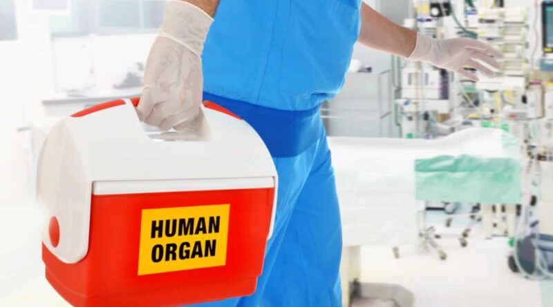 Algoritmo calcula rotas de transporte de órgãos para transplantes