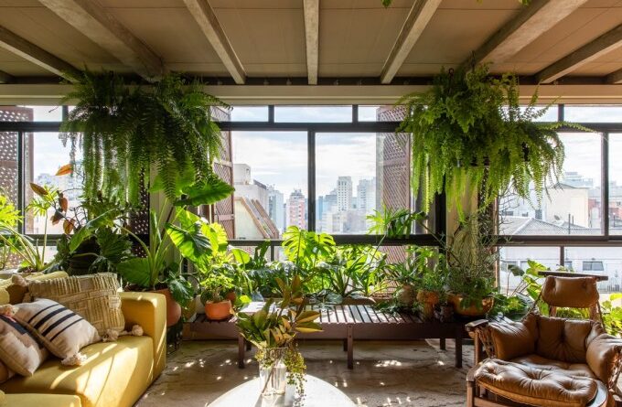 10 dicas para cultivar plantas em apartamentos pequenos