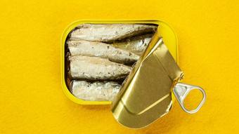 Sardinha é rica em ômega-3: conheça os benefícios desse peixe para a saúde – Fotos